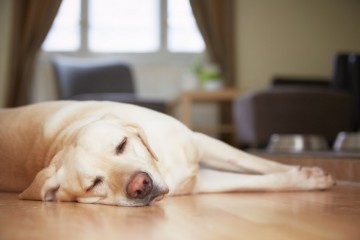 簡単ではない、後継者選び